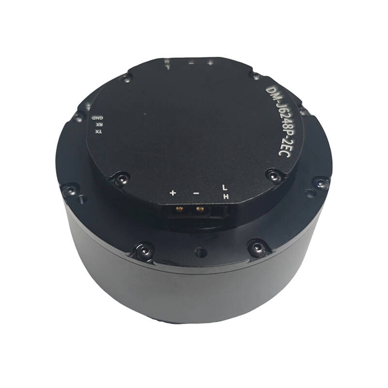 DAMIAO DM-J6248P-2EC Riduttore - Robot Arm Motor recensione e prezzo
