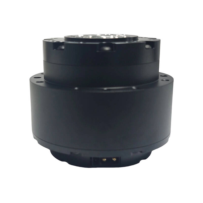 DAMIAO DM-J6248P-2EC Riduttore - Robot Arm Motor recensione e prezzo